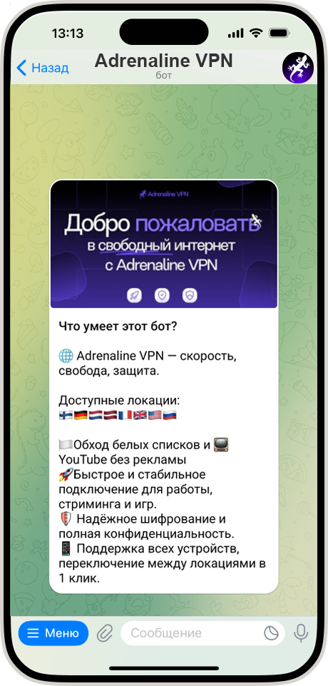 V2RayTun App
